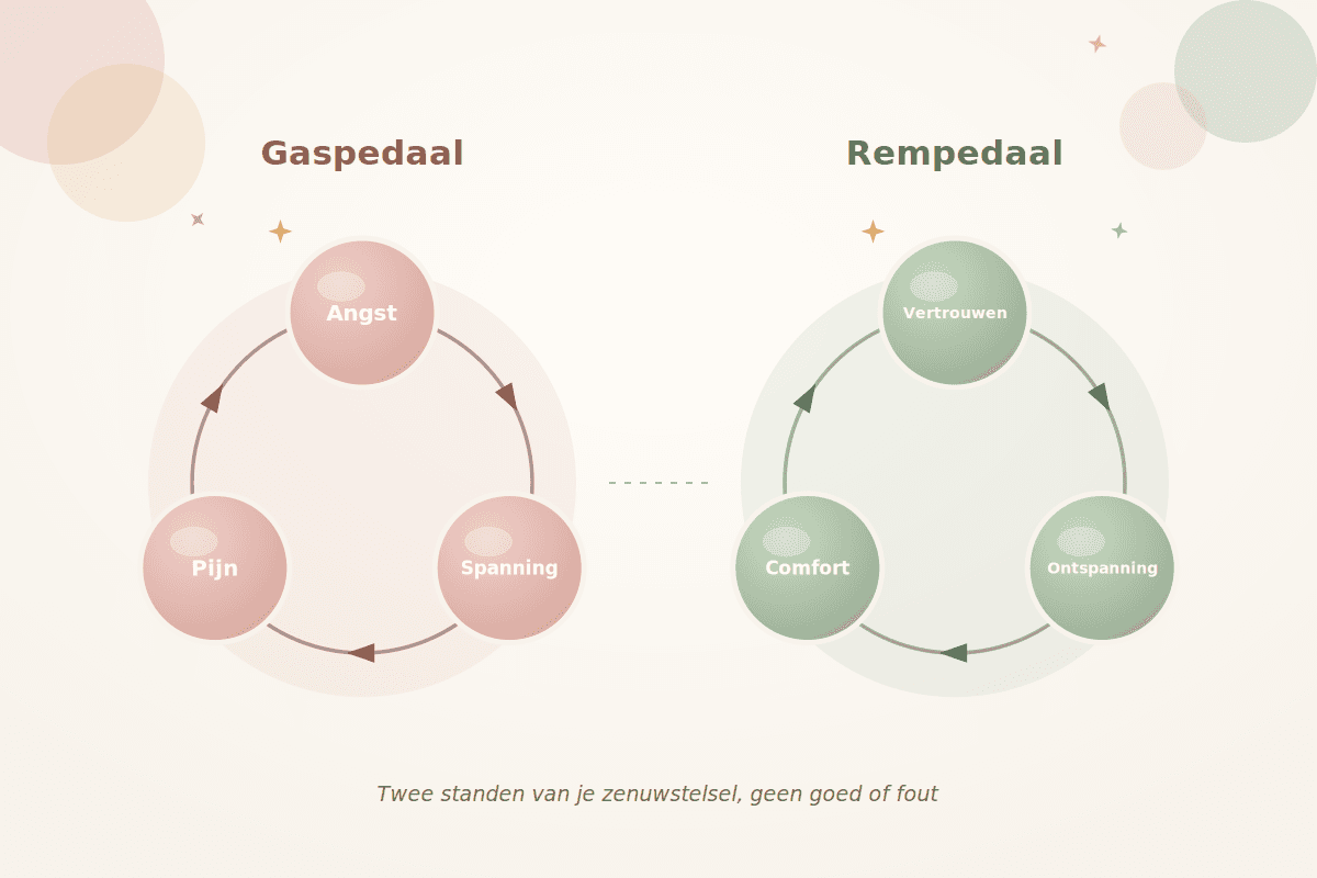 De twee cirkels: gaspedaal en rempedaal tijdens de bevalling